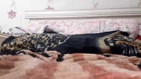 Snapshot of bigcock977654 chatting on 02-23-25, 01:13 bigcock977654 online show from 02-23-25, 01:13