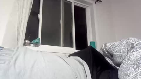 bg online show from 12-18-24, 02:42