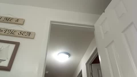 bg online show from 12-19-24, 08:55