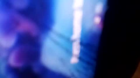 Rooster P online show from 12-04-24, 11:08