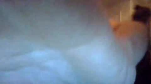 bigdickdaddy7201979564868 online show from 09-22-25, 07:10