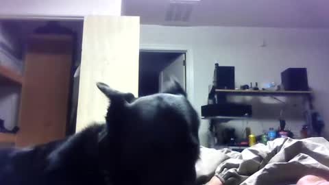 Snapshot of bigdickdaddy7201979564868 chatting on 06-19-26, 06:40 bigdickdaddy7201979564868 online show from 06-19-26, 06:40