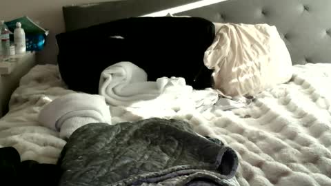 Snapshot of bigdickjoey1995 chatting on 01-10-25, 11:29 bigdickjoey1995 online show from 01-10-25, 11:29