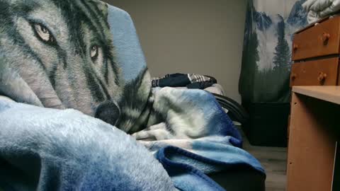 George Forest Dickyduby on all Socials online show from 12-09-24, 05:40