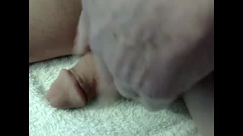 bigdipper58 online show from 02-23-25, 05:18