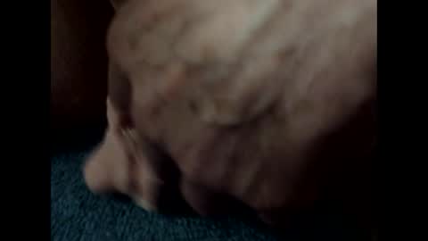 bigdipper58 online show from 02-25-25, 01:41