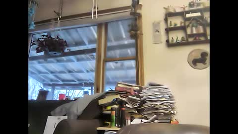 Snapshot of bigelectricrod chatting on 01-05-25, 12:31 bigelectricrod online show from 01-05-25, 12:31