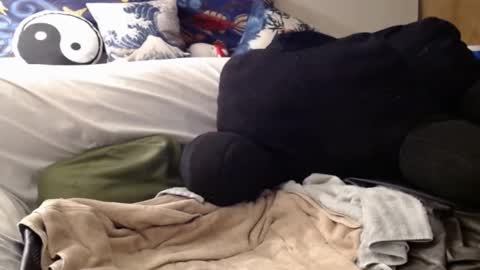 Bigandthick online show from 12-08-24, 07:37