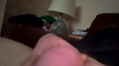 biggloves4bighands online show from 12-21-25, 02:24