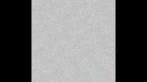 bigguynick113 online show from 12-16-24, 08:41