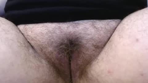 Snapshot of bighairyabby chatting on 05-15-26, 04:58 Abby online show from 05-15-26, 04:58