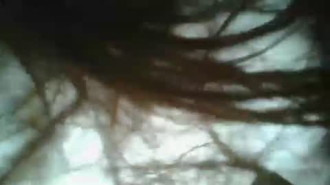Snapshot of bigjames_chicago chatting on 01-19-25, 03:42 daddy online show from 01-19-25, 03:42
