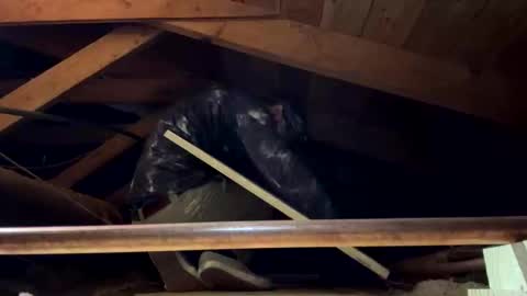 Snapshot of bigjim6646 chatting on 09-21-25, 03:02 bigjim6646 online show from 09-21-25, 03:02