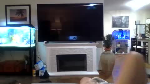 bigjoed233 online show from 05-21-26, 12:06