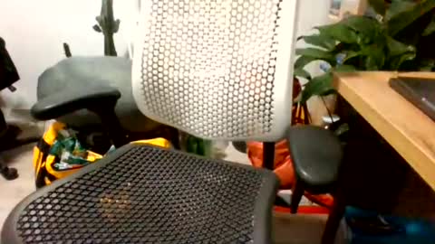 bigpolishdick12345 online show from 06-24-26, 11:04