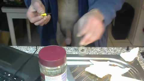 Snapshot of bigreallover chatting on 01-22-25, 02:37 ...... online show from 01-22-25, 02:37