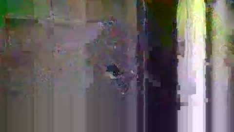 bigsteppa2027 online show from 10-20-25, 04:13