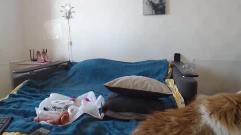 BigTwinsOmg online show from 03-11-26, 07:36