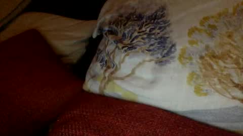 bigvic25cm online show from 03-01-25, 07:04