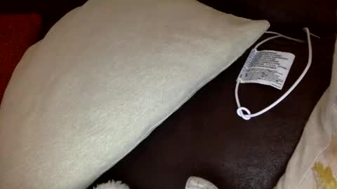 bigvic25cm online show from 11-28-25, 02:09