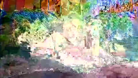 Snapshot of bigwytecock1979 chatting on 12-09-24, 01:24 bigwytecock1979 online show from 12-09-24, 01:24