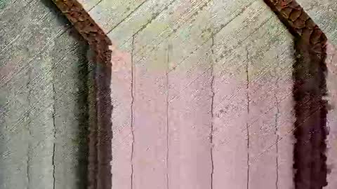 Snapshot of bigwytecock1979 chatting on 12-24-24, 04:30 bigwytecock1979 online show from 12-24-24, 04:30