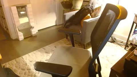 Jeff online show from 03-29-26, 05:18