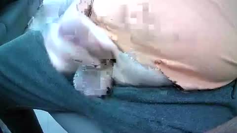 bikeman17 online show from 10-04-25, 08:45