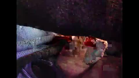 bilco03 online show from 10-29-25, 11:56