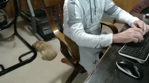 Snapshot of billy471 chatting on 01-23-25, 10:11 billy471 online show from 01-23-25, 10:11