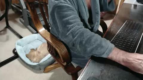 Snapshot of billy471 chatting on 12-05-25, 10:35 billy471 online show from 12-05-25, 10:35