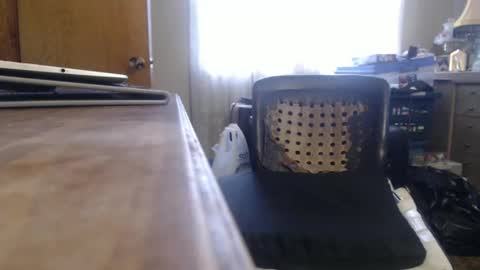 Snapshot of bimbttm chatting on 12-19-24, 05:50 Bimbttm online show from 12-19-24, 05:50