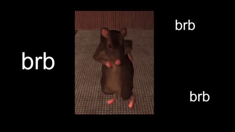  Black Kittie    Wednesday - 1300 - 1900 GMT help me get 100 thumbs up online show from 01-31-25, 01:12