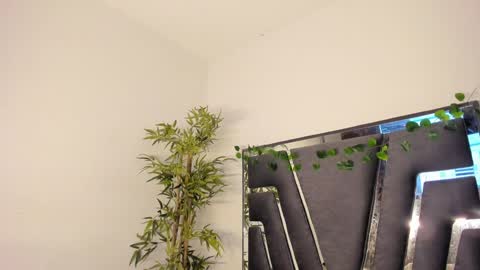 B L A C K  R O S E  online show from 02-08-25, 11:44