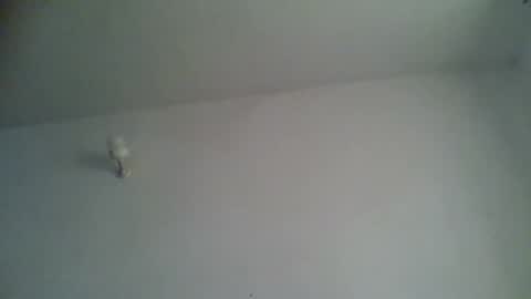 Snapshot of blackafrica2023 chatting on 11-15-25, 05:27 black african online show from 11-15-25, 05:27