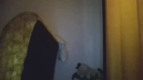 Snapshot of blackafrica2023 chatting on 11-20-25, 05:29 black african online show from 11-20-25, 05:29