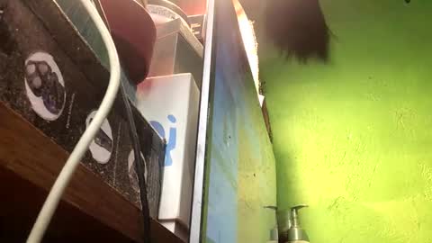 Snapshot of blackasiancockts chatting on 11-13-25, 02:49 Crystal online show from 11-13-25, 02:49