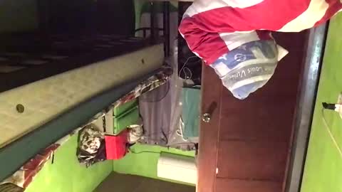 Snapshot of blackasiancockts chatting on 02-20-26, 02:30 Crystal online show from 02-20-26, 02:30