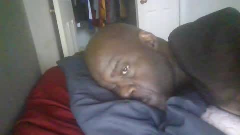 Snapshot of blackteddybear chatting on 01-19-26, 03:05 blackteddybear online show from 01-19-26, 03:05