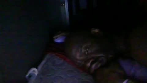 Snapshot of blackteddybear chatting on 02-18-26, 03:24 blackteddybear online show from 02-18-26, 03:24