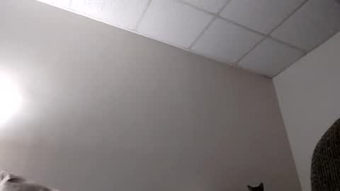 Snapshot of blahblam420 chatting on 02-05-25, 07:50 blahblam420 online show from 02-05-25, 07:50