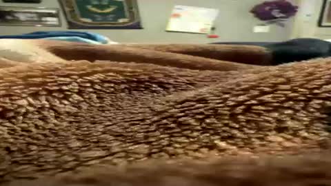 Snapshot of blancobenzo chatting on 08-01-26, 06:51 blancobenzo online show from 08-01-26, 06:51
