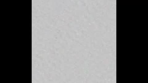 Blase Hase12 online show from 10-28-25, 08:33