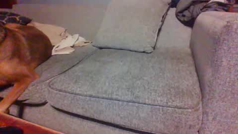 Snapshot of blaw_1321 chatting on 04-14-26, 07:25 blaw_1321 online show from 04-14-26, 07:25