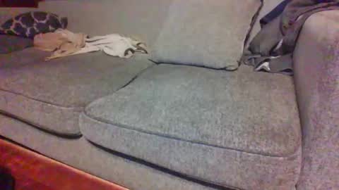 Snapshot of blaw_1321 chatting on 04-15-26, 07:37 blaw_1321 online show from 04-15-26, 07:37