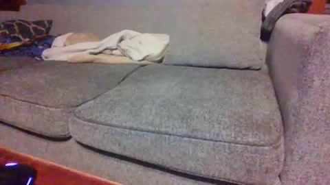 Snapshot of blaw_1321 chatting on 04-16-26, 07:31 blaw_1321 online show from 04-16-26, 07:31