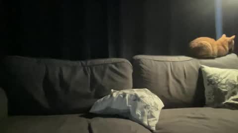 Snapshot of bllyidol chatting on 11-24-25, 06:46 BlIdoL online show from 11-24-25, 06:46