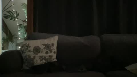 Snapshot of bllyidol chatting on 12-18-25, 09:04 BlIdoL online show from 12-18-25, 09:04