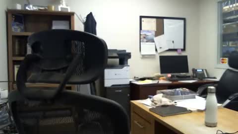 bluediamond777 online show from 12-31-24, 07:40