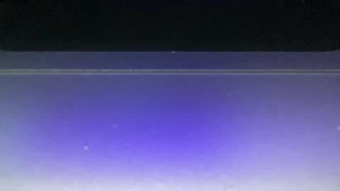 bluuuuuuub online show from 12-29-24, 11:08